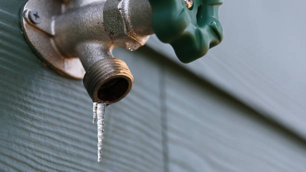 Best Plumbing Repair Near Me  in Buchanan, NY